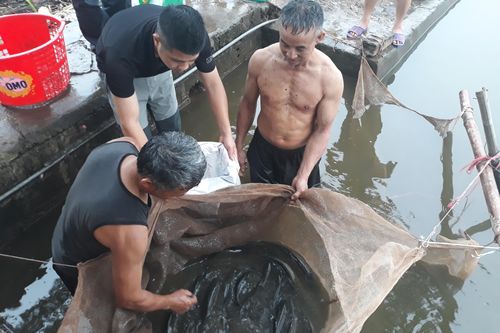 Nâng cao hiệu quả nuôi thủy sản