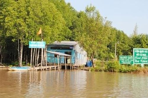 Di dời các hộ dân cư trú trái phép ra khỏi Vườn quốc gia Mũi Cà Mau