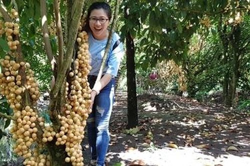 Khôi phục và kích cầu du lịch miền Tây