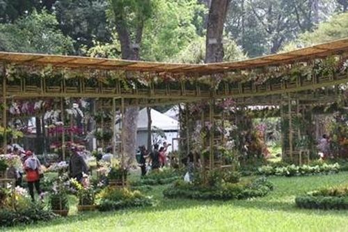 Trồng cây xanh trong trường học cần tham khảo ý kiến chuyên gia