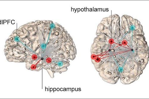 Căng thẳng nằm ở đâu trong bộ não?