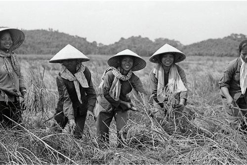 Tặng 200 phim âm bản về chiến tranh cho Bảo tàng Phụ nữ Việt Nam