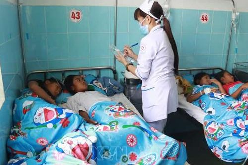 Lâm Đồng: 135 học sinh ngộ độc thực phẩm đã bình phục