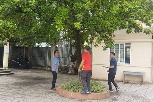 Hà Nội: Rà soát hệ thống cây xanh trong khuôn viên trường học
