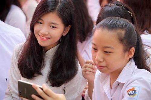 Cần có phương án giữ được cây mà vẫn đảm bảo an toàn trong trường học