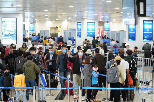 Ngành hàng không cần một 'cơn mưa rào để đâm chồi nảy lộc trở lại'