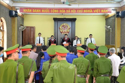 Gian lận thi cử - Phải chống từ gốc