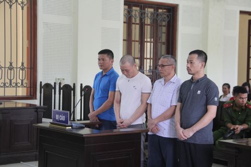 Buôn 14kg ma túy nhận án tử hình