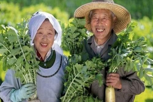 Người Nhật làm thế nào để hạnh phúc?