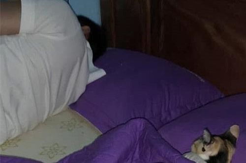 Đuổi chồng sang phòng khác ngủ, nửa đêm tỉnh dậy vợ sững sờ phát hiện 'kẻ thứ ba' đang say sưa bên chồng