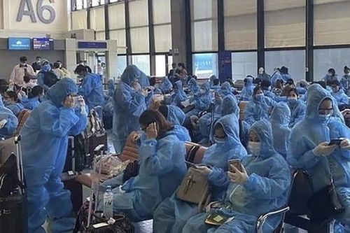 Sở Y tế Quảng Nam nói gì về vụ tiếp nhận cách ly 243 'bà bầu' từ Đài Loan về nước