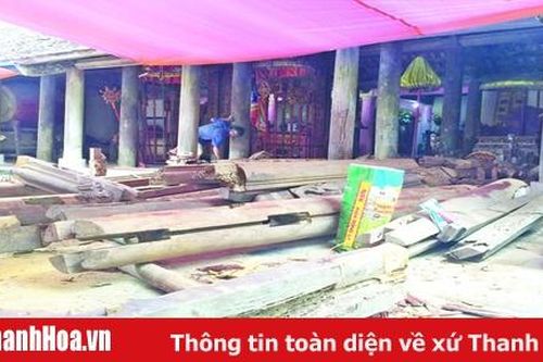 Sự nhiệt tình quá mức