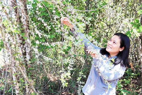 Mùa hoa thành ngạnh