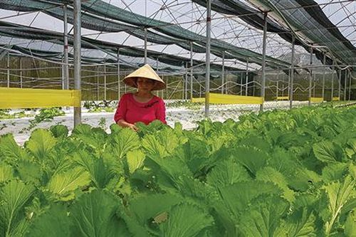 Lan tỏa việc học tập và làm theo tư tưởng, đạo đức, phong cách Hồ Chí Minh ở xã Trung Nam