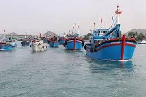 Những tác động của thẻ vàng IUU đối với Việt Nam và một số kiến nghị giải pháp để gỡ thẻ vàng IUU đối với ngành Thủy sản Việt Nam
