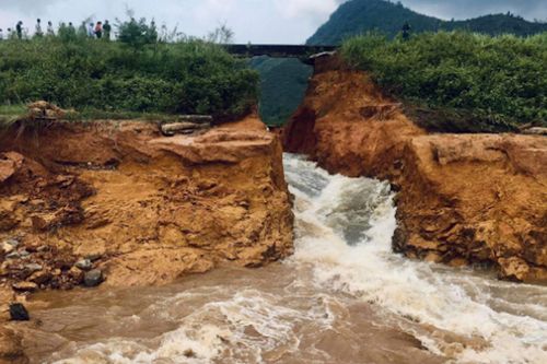 Vỡ đập Đầm Thìn chứa 600.000 m3 nước ở Phú Thọ: Do chuột đục, mối làm tổ?
