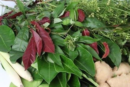 Đắp lá chữa ung thư, người phụ nữ bị di căn giai đoạn cuối