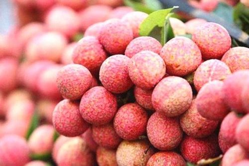 Ngày 3/6, chuyên gia Nhật Bản sang Việt Nam giám sát lô vải xuất khẩu