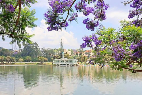 Hướng đến đô thị di sản Đà Lạt