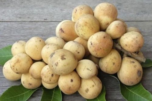 Muốn chọn bòn bon ngon, không hóa chất, chị em nhất định phải biết 1 điều
