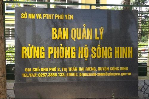 Rừng phòng hộ Hòn Đen sông Hinh 'chảy máu' còn trạm kiểm lâm 'cửa đóng then cài'