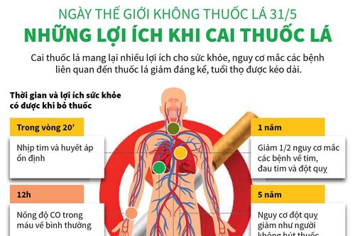 Ngày thế giới không thuốc lá 31/5: Những lợi ích khi cai thuốc lá