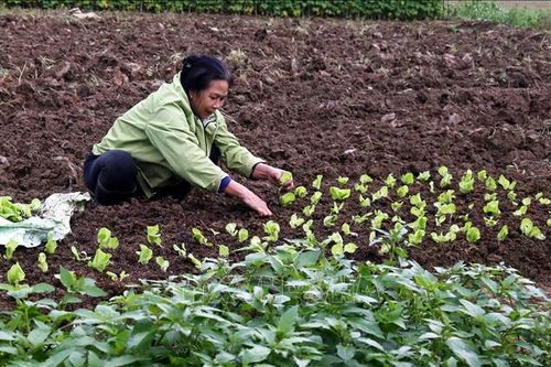 Si Ma Cai biến khó khăn thành lợi thế xây dựng nông thôn mới