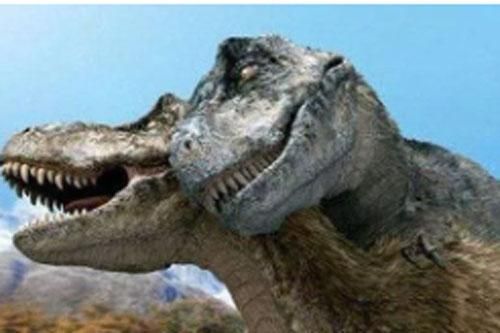 Nghiên cứu mới cho thấy khủng long bạo chúa Tyrannosaurus dựa vào giác quan thứ sáu để 'yêu'?