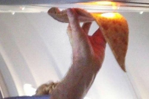Hành khách 'hâm nóng' miếng bánh pizza dưới đèn LED trên máy bay