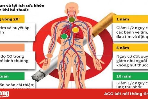 Cai thuốc lá mang lại nhiều lợi ích cho sức khỏe