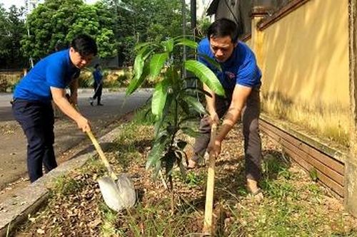 Hơn 2.200 ĐVTN tham gia Ngày Chủ nhật xanh