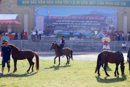 Nài ngựa Bắc Hà so tài kịch tính, đua tranh ngôi vô địch