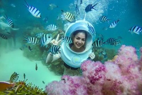 Dạo chơi dưới đáy biển Phú Quốc