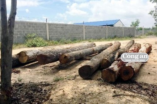 Gỗ lậu vô chủ