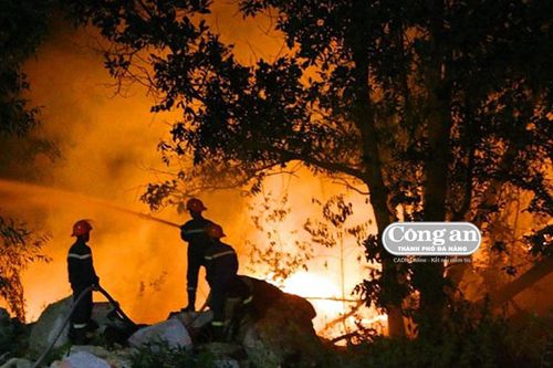 Gồng mình chống nắng hạn (Bài 1: Báo động nạn cháy rừng)