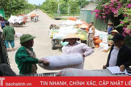 Lúa VietGAP Hà Tĩnh xuất ngoại