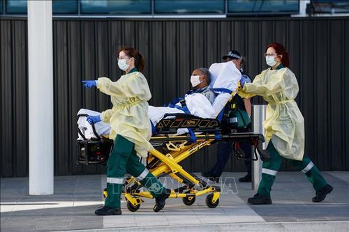 Australia nỗ lực tìm ra phương pháp điều trị COVID-19 hiệu quả nhất