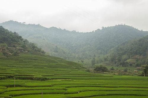 Cuộc sống bình dị ở bản làng Việt Nam qua ống kính khách Tây
