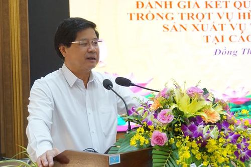 Lúa hè thu thắng lợi trong điều kiện khó khăn