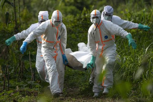 Congo bùng phát ổ dịch Ebola mới sau 2 năm chiến đấu với virus