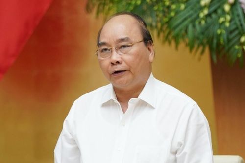 Thủ tướng yêu cầu thảo luận 'vì sao giá thịt lợn vẫn cao'