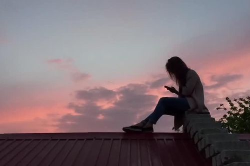 Sinh viên ở Chile trèo lên mái nhà học online mùa dịch