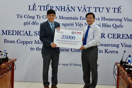 Tiếp nhận vật tư y tế hỗ trợ kiều bào tại Hàn Quốc phòng chống dịch Covid-19