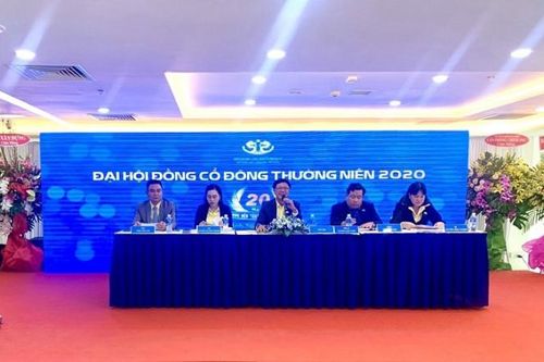 Chủ tịch HQC 'xin' 4 năm để đưa cổ phiếu về mệnh giá