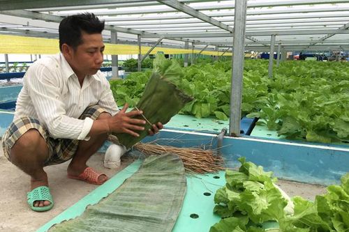 Chung tay hành động vì một môi trường trong lành hơn