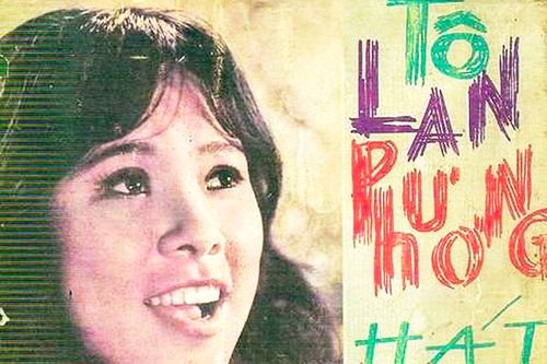Bông hoa lan từ lửa đạn chiến tranh