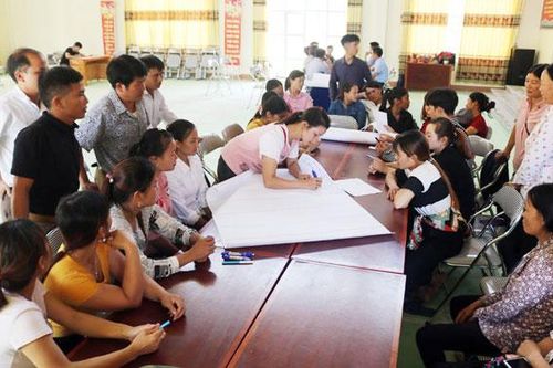 Kết nối tiêu thụ sản phẩm quế với các đơn vị sản xuất và thu mua