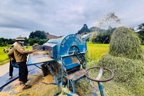 Sản xuất vụ Xuân 2020: Vượt khó khăn, giành thắng lợi