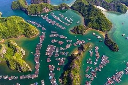Tài tử phim Titanic ví Vịnh Lan Hạ như thiên đường