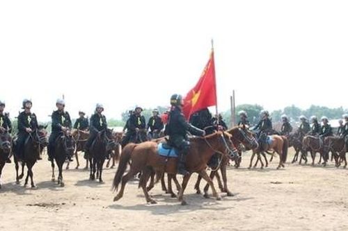 Thứ trưởng Lê Quốc Hùng kiểm tra tại Đoàn CSCĐ kỵ binh